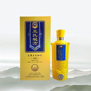 王氏秘方.秘藏20